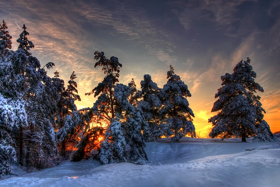 Northern Sweden Has a Snow Problem - SnowBrains