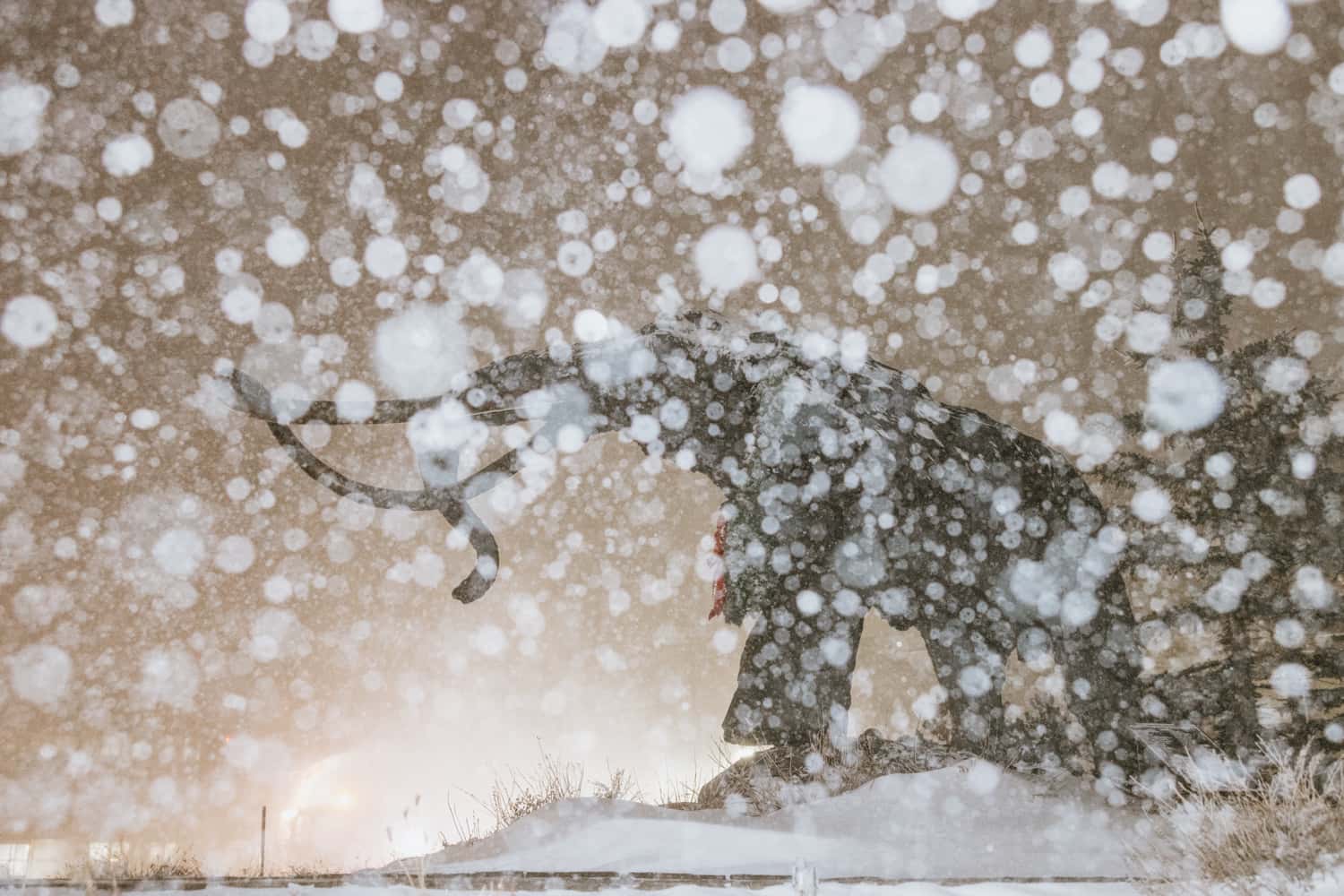 Peter morning, mammoth mountain, 