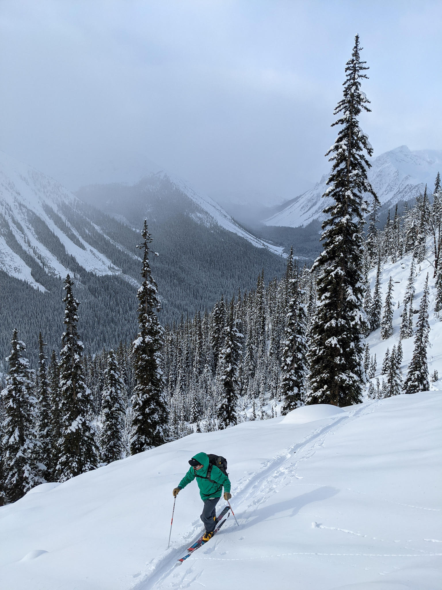 kicking horse