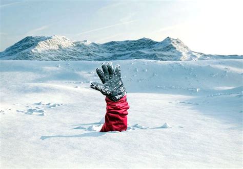 Avalanche Survivor