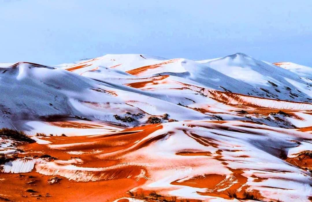 snow, sahara