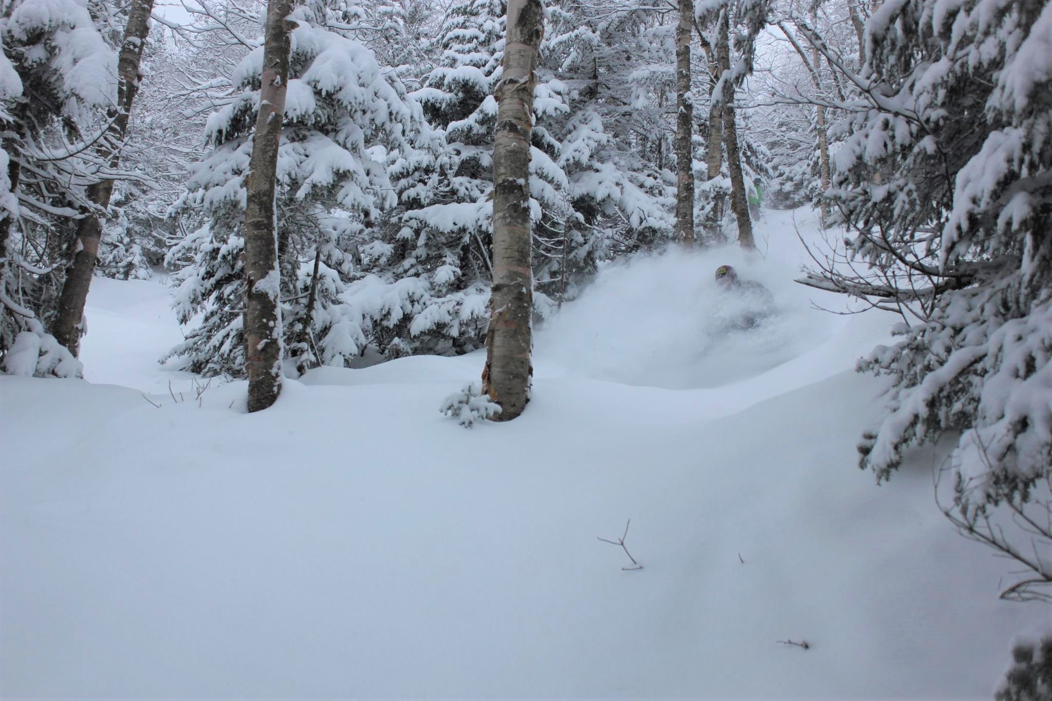 Jay Peak Beaver Pond