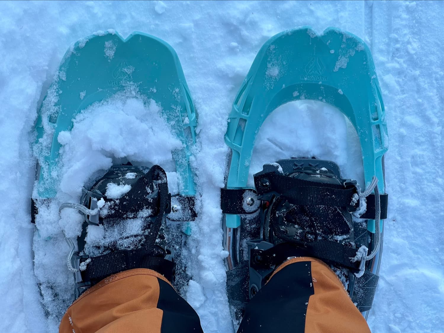 snowshoes, 