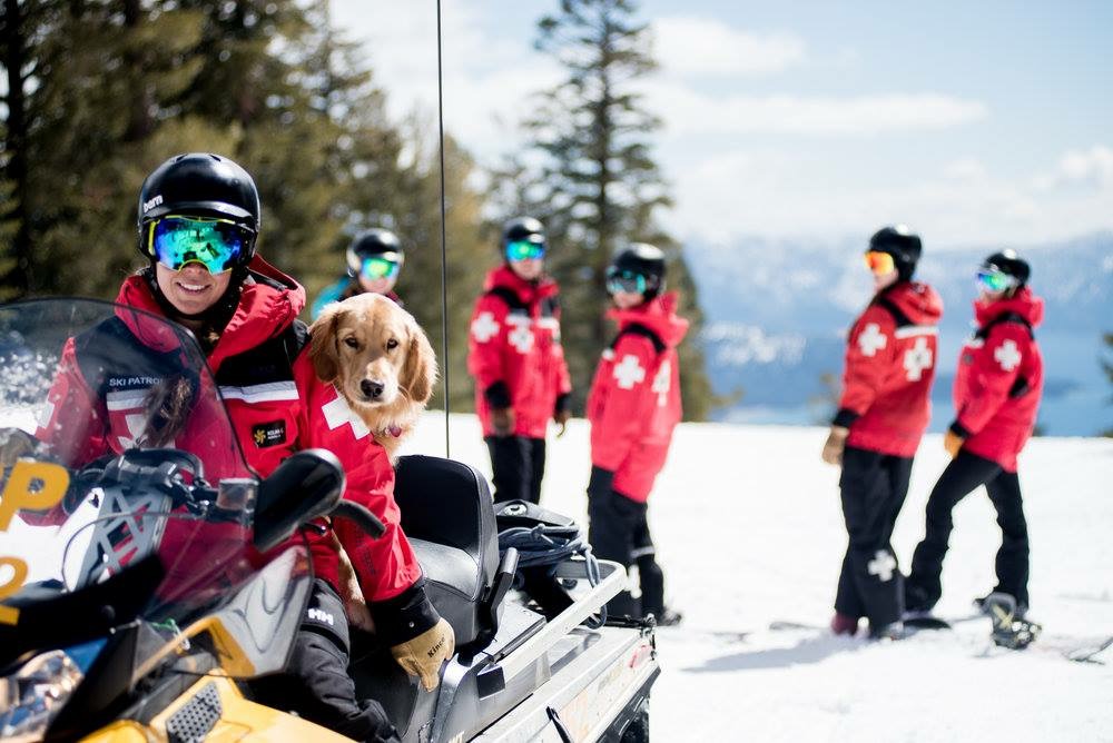 northstar, Ski Patrol, dog, 