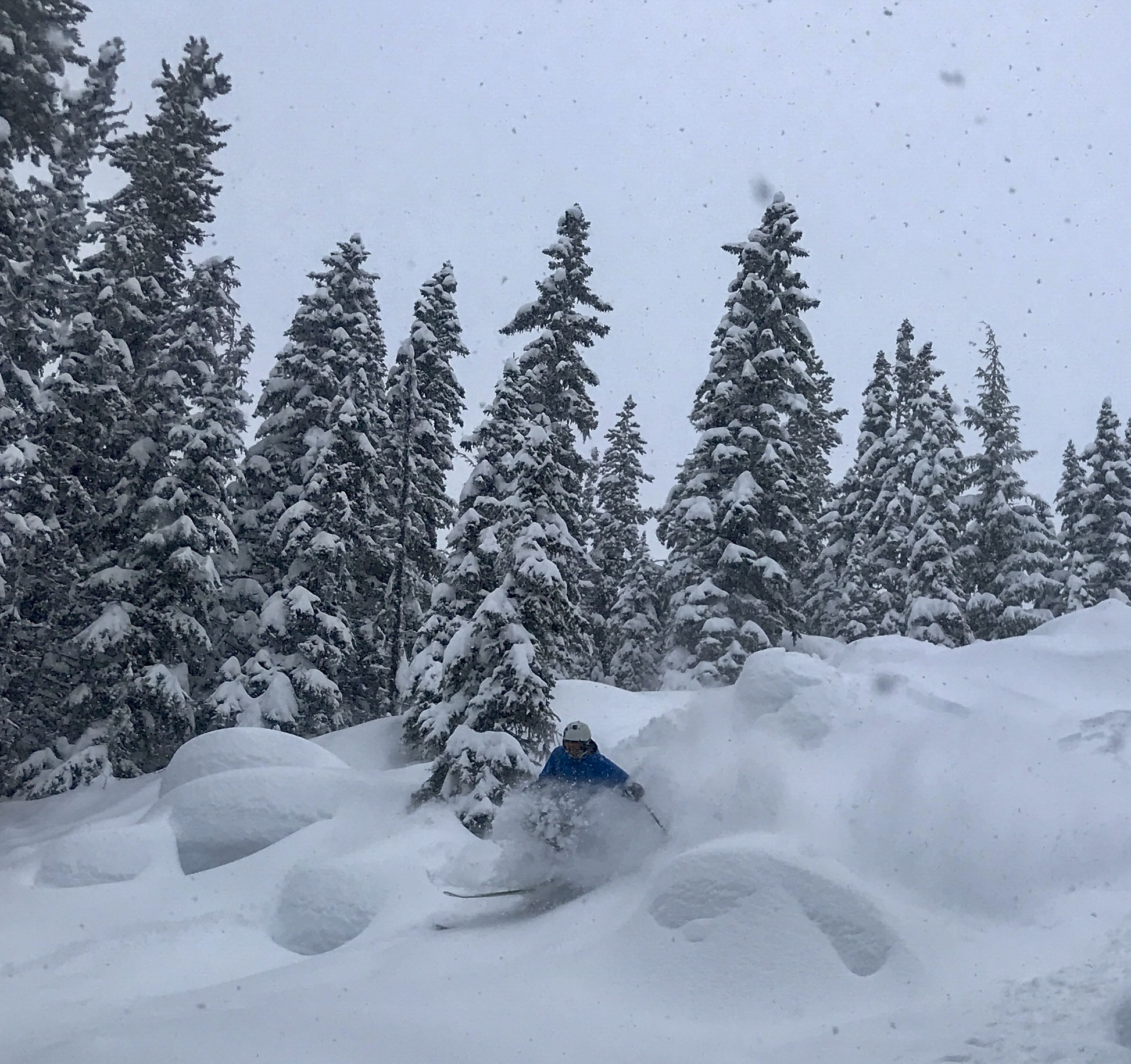 SnowBrains Powder Highway 2022 Report: Day #7 Revelstoke, BC Pow Rippin ...