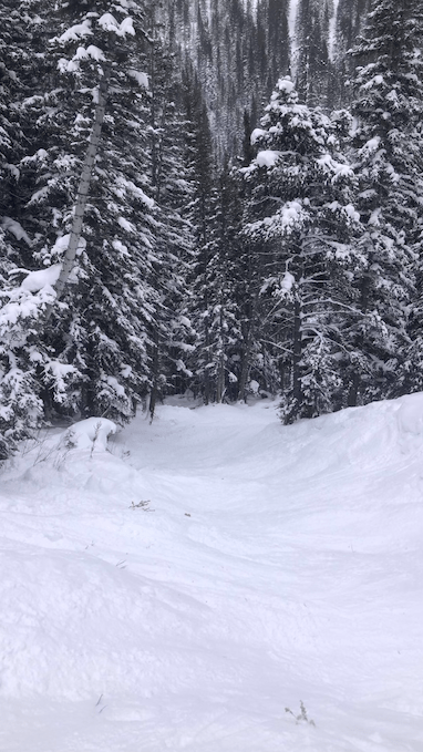 Double Black in Breck