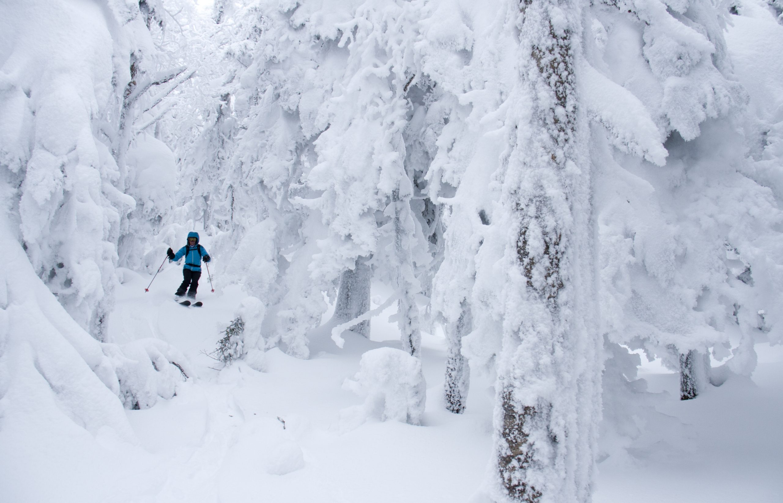 Vermont tree skiing