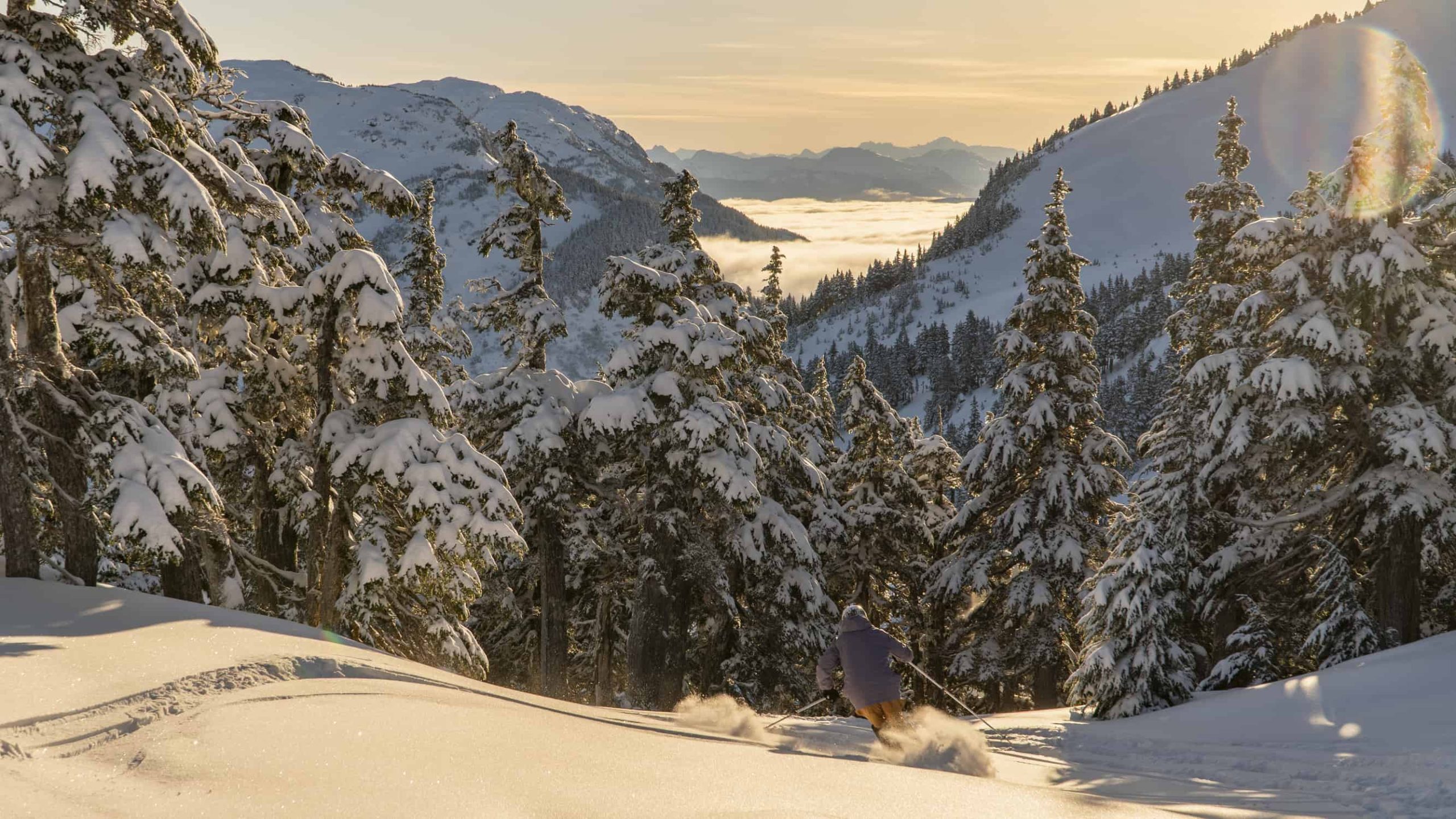 Powder skiing at eaglecrest, AK