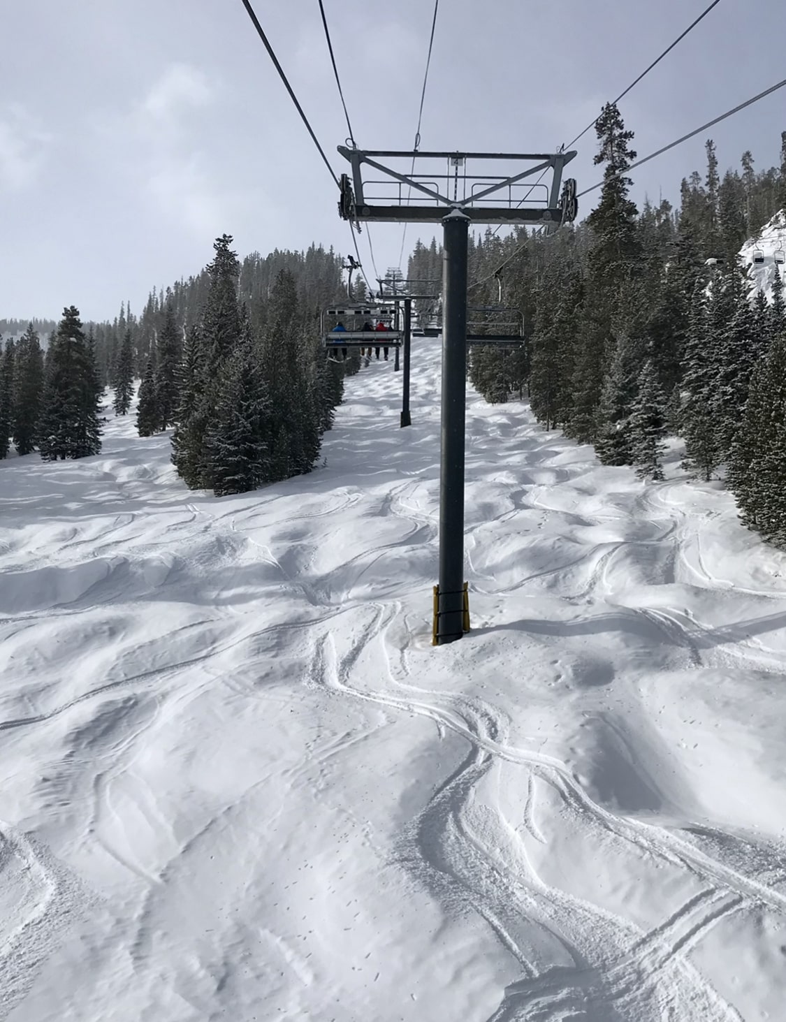 dusted packed powder bumps