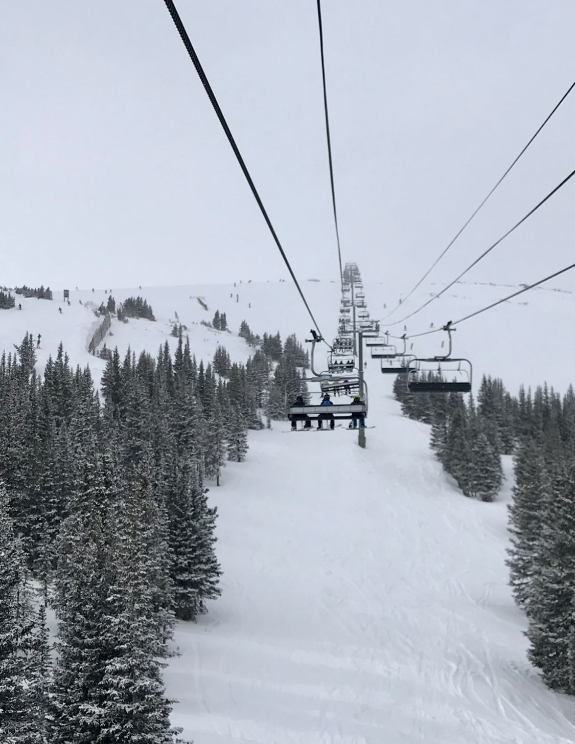 Panoramic Lift