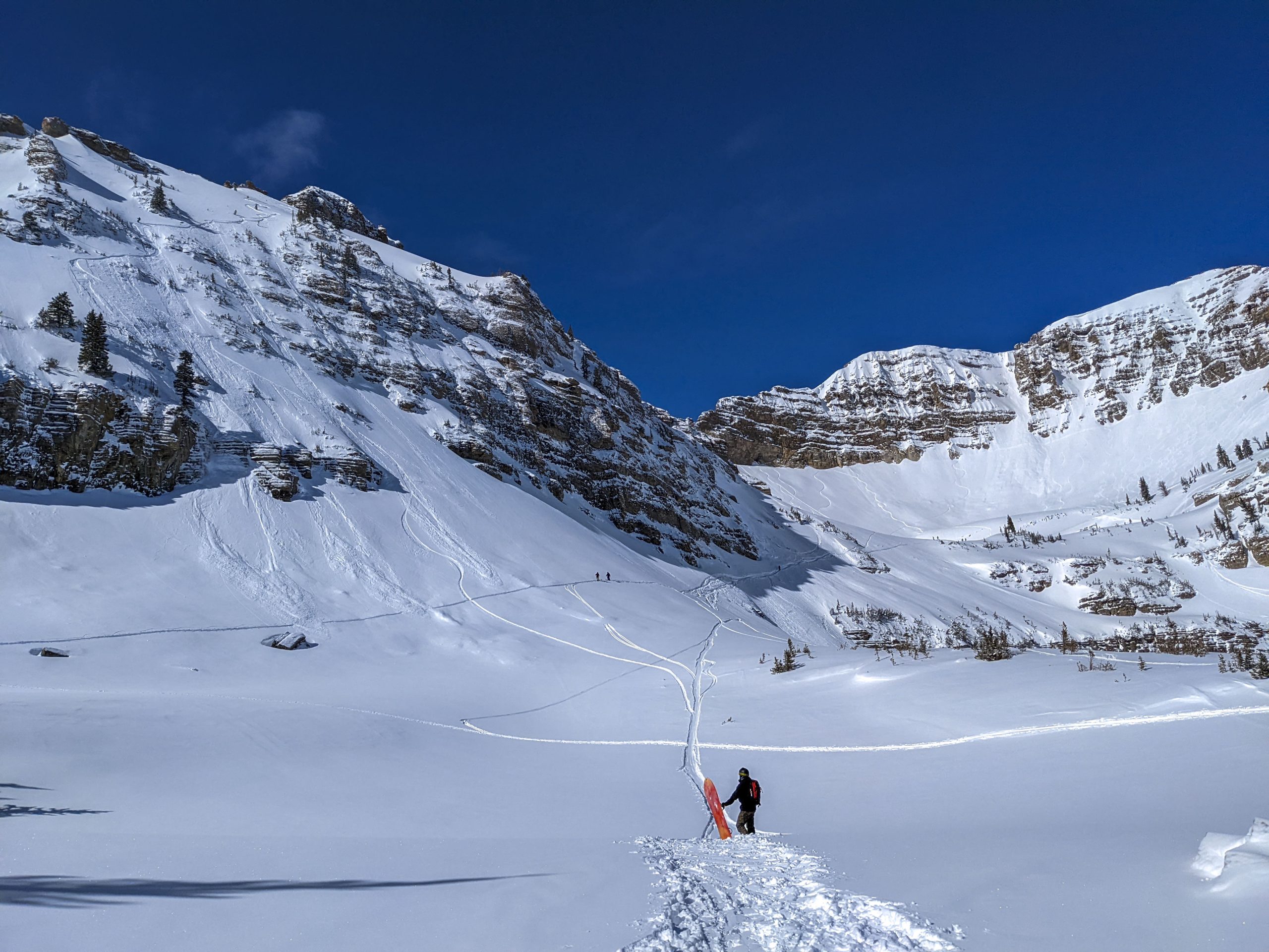 UC Berkeley Alum Killed in Wyoming Avalanche While Skiing