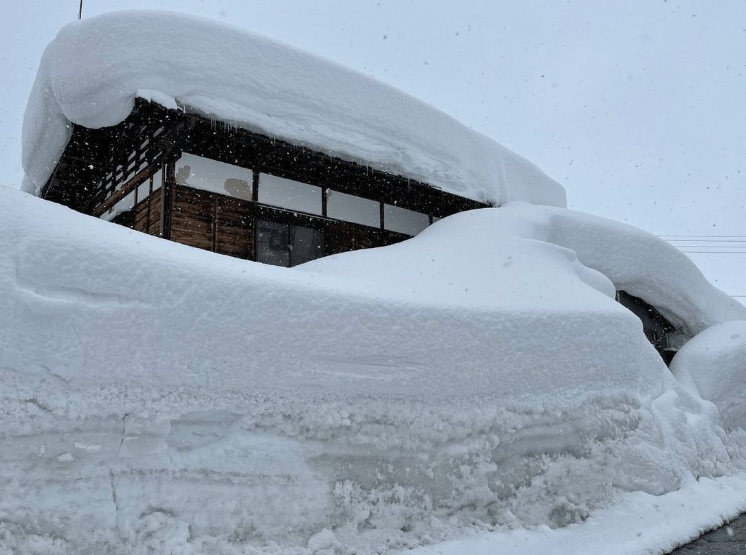5ft Snow Japan
