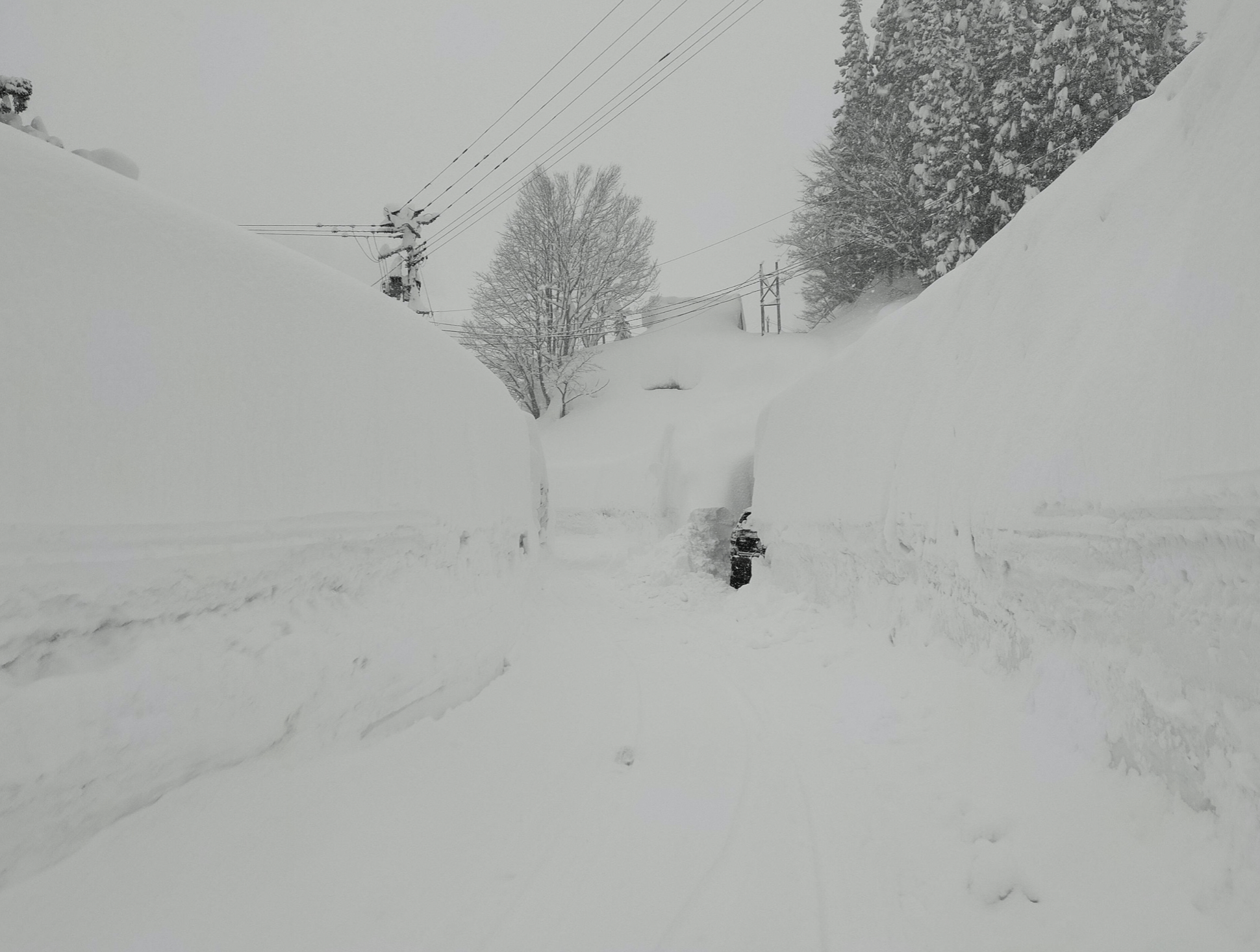 Snow in Japan