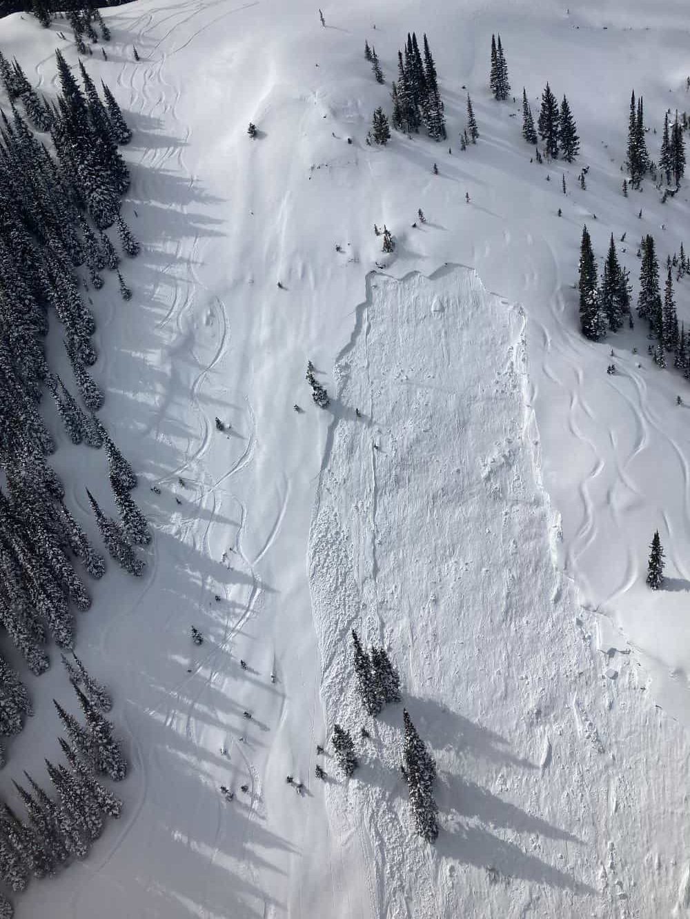 UC Berkeley Alum Killed in Wyoming Avalanche While Skiing