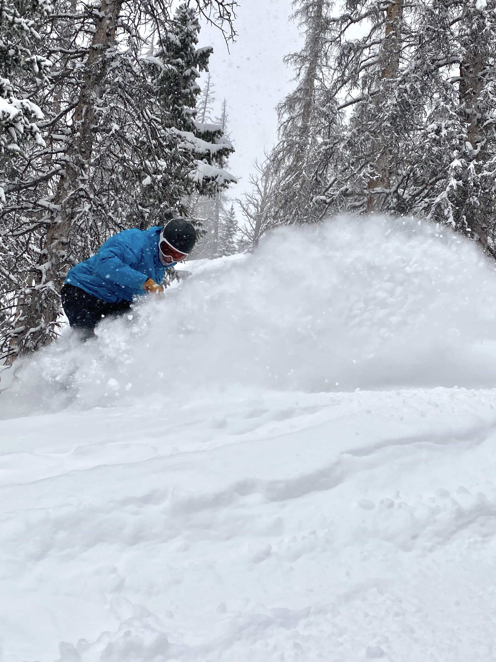 monarch mountain, colorado