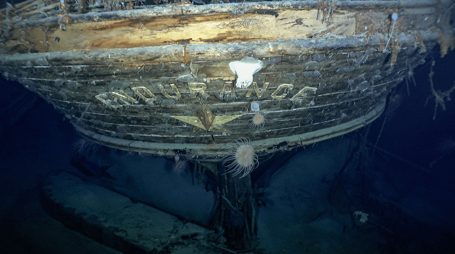 Endruance Shipwreck 