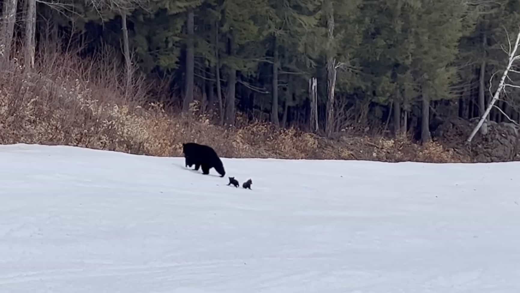 sunday river