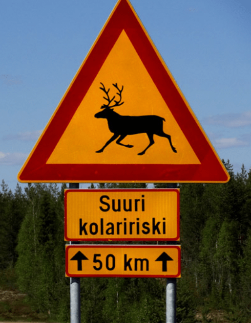 Reindeer Crossing Sign