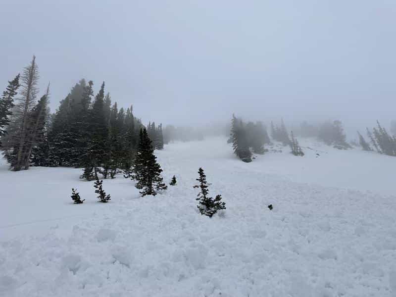 alta ski area, avalanche, utah