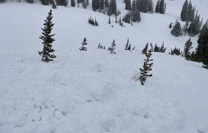 alta ski area, avalanche, utah