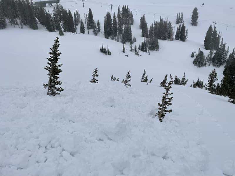 alta ski area, avalanche, utah