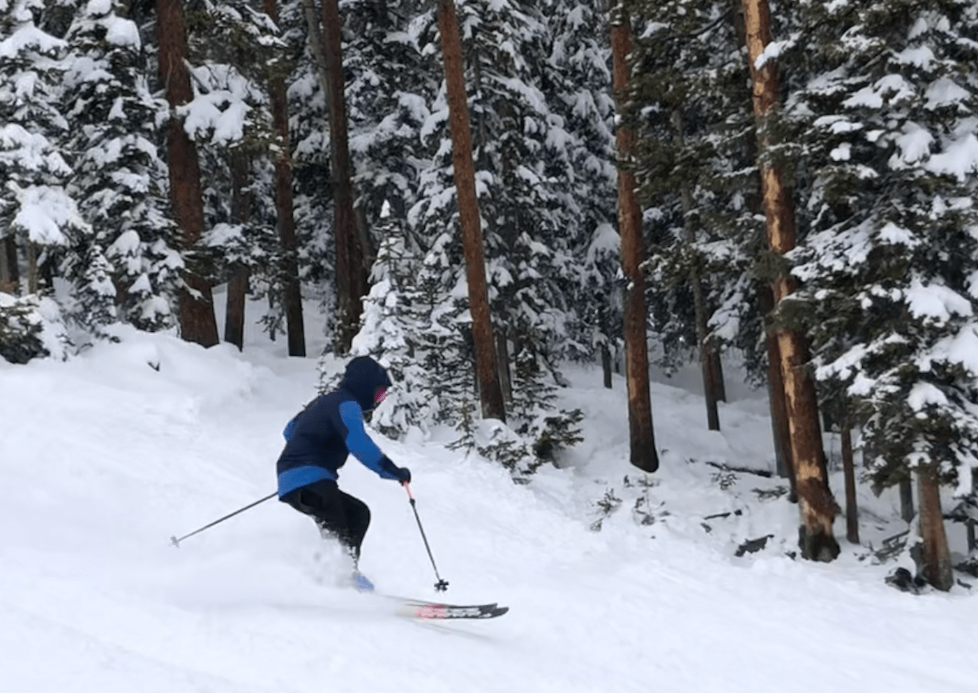 Mary Jane, CO Report 16 Inches for Closing Day LaptrinhX / News