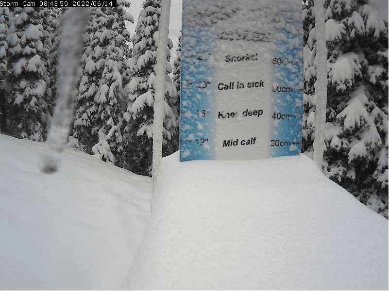 Castle Mountain Resort, AB, Just Got Nearly a Foot of Fresh Snow -  SnowBrains