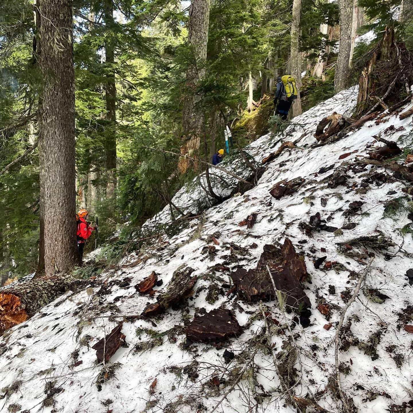 avalanche, British Columbia, 