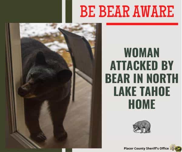 bear aware Lake Tahoe California 