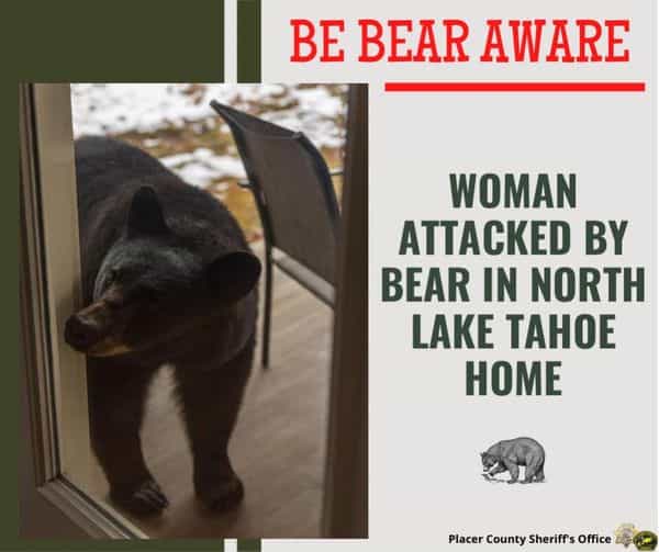 bear aware Lake Tahoe California