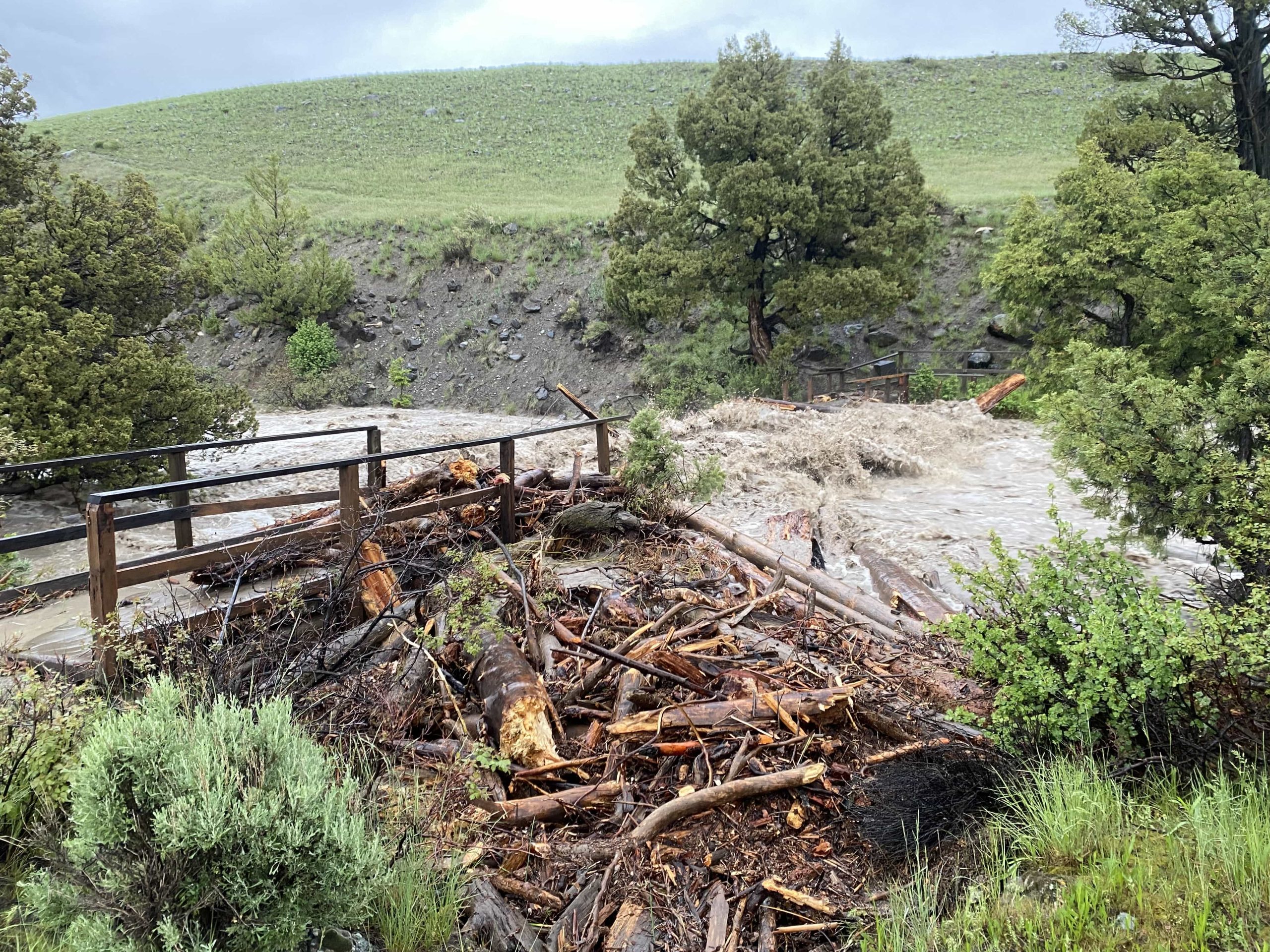 [PHOTOS & VIDEOS] Yellowstone National Park Closed and Evacuated Due to