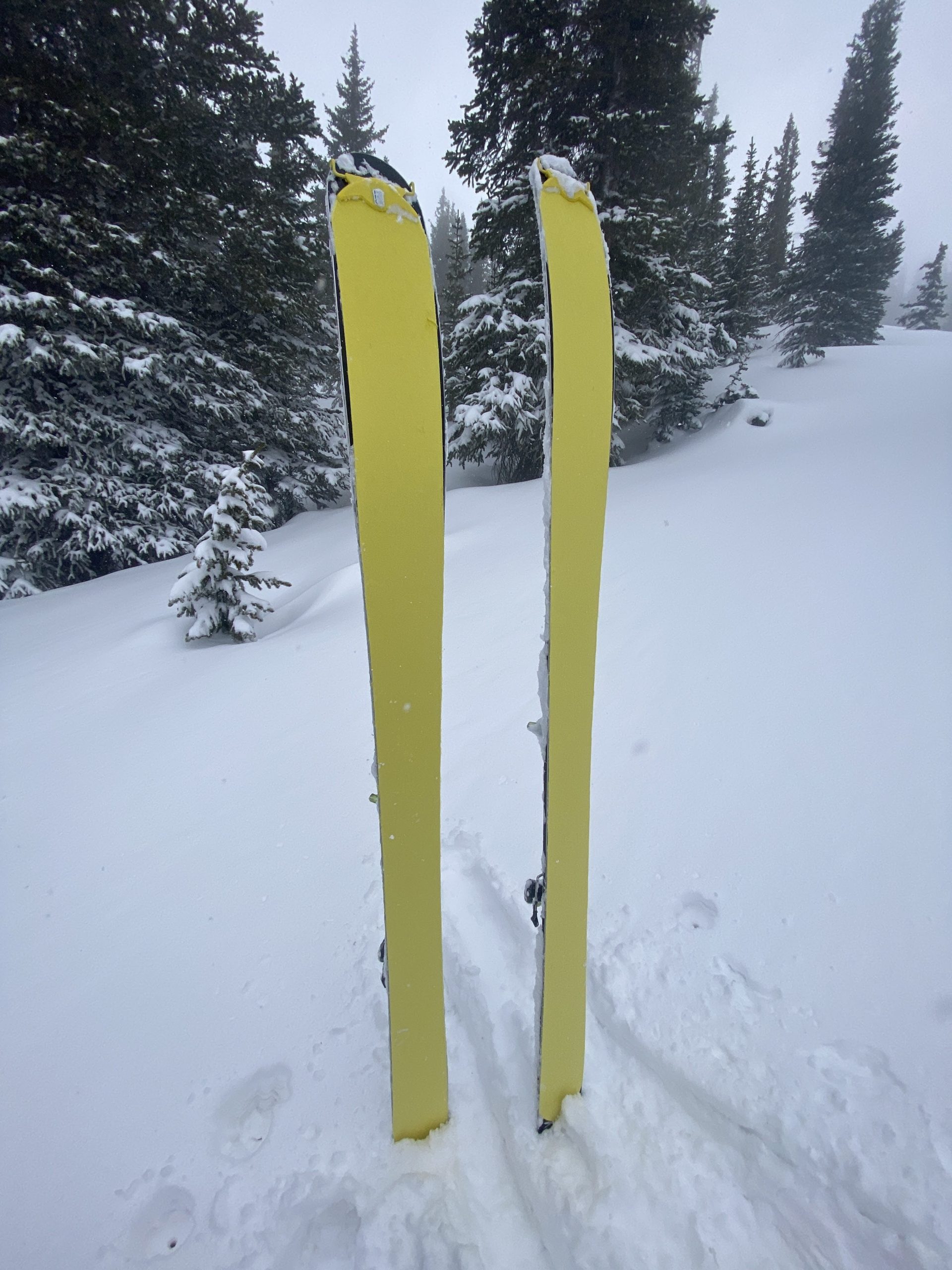 Gear Review: Pomoca Climb 2.0 Skins - SnowBrains