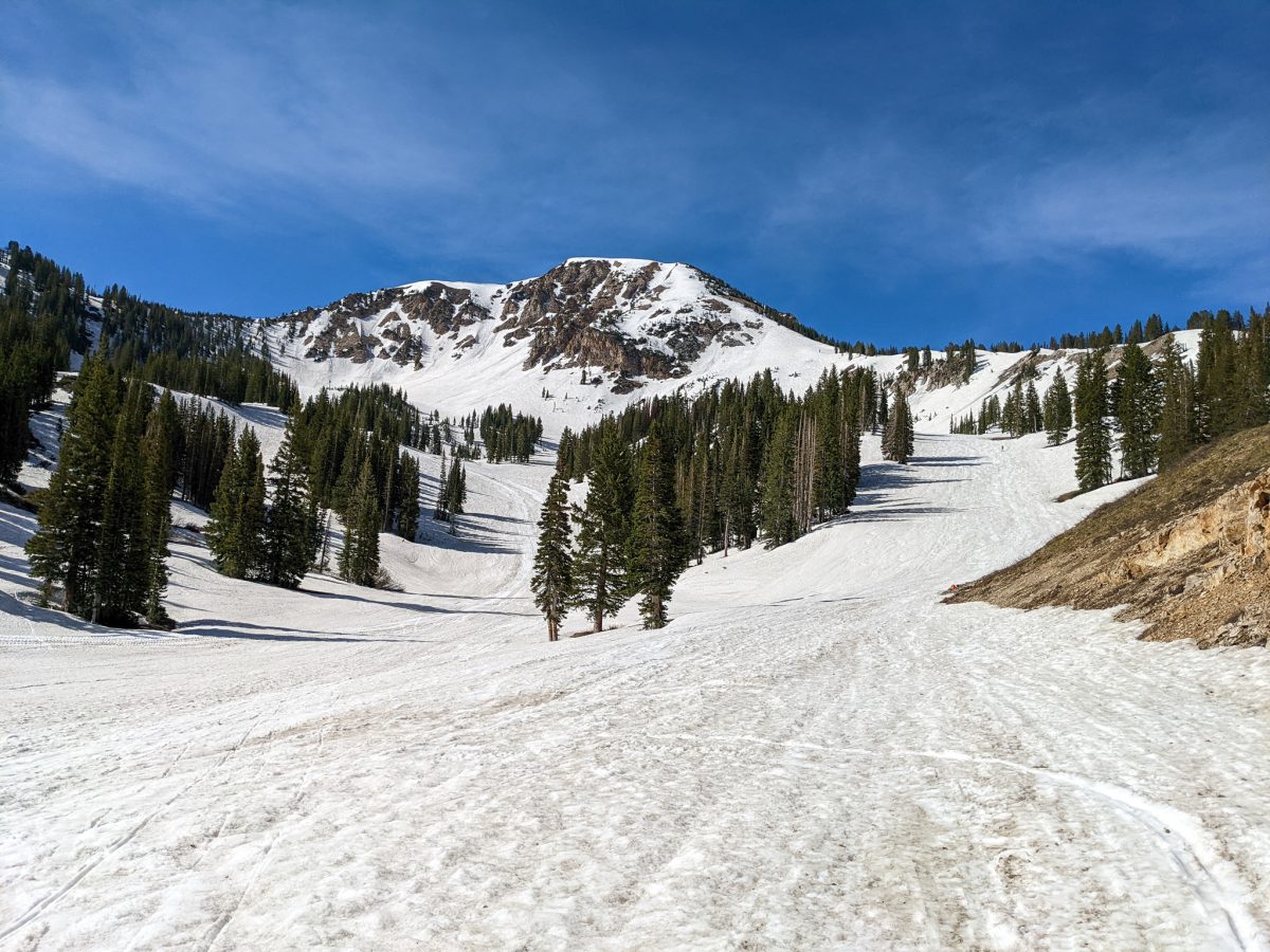 Alta, UT Report: Main Chute on 11,068' Mt. Baldy | Still Firing Top-to ...