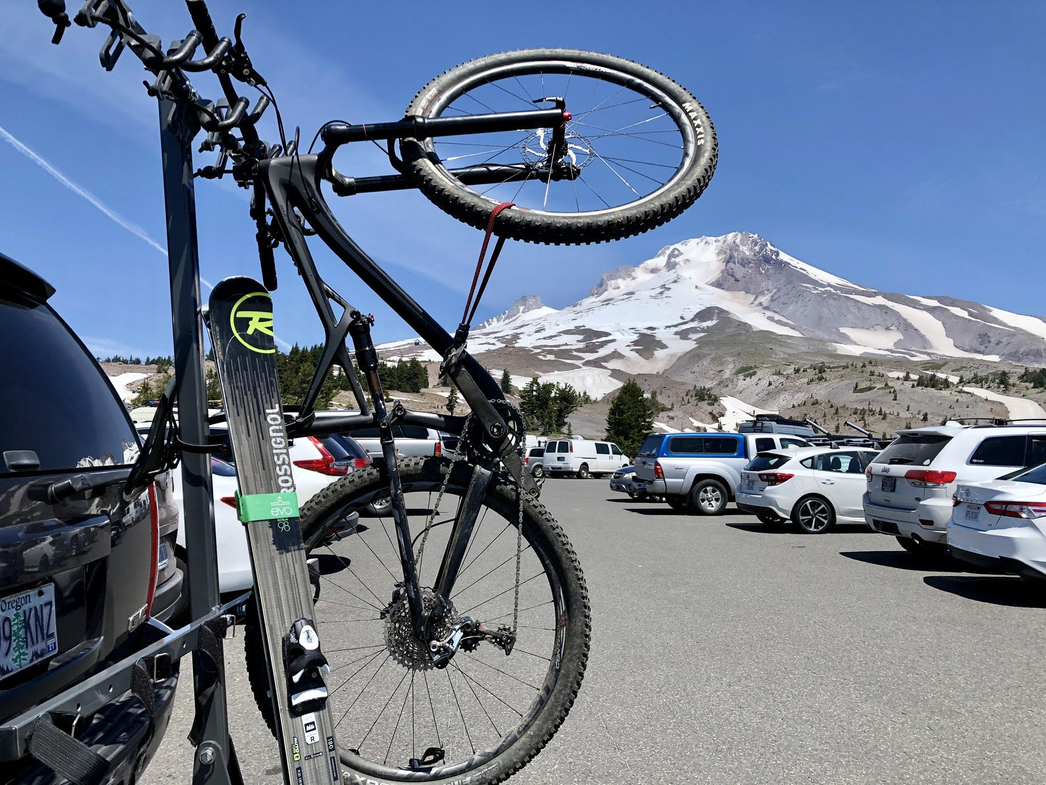 Lolo on sale bike rack