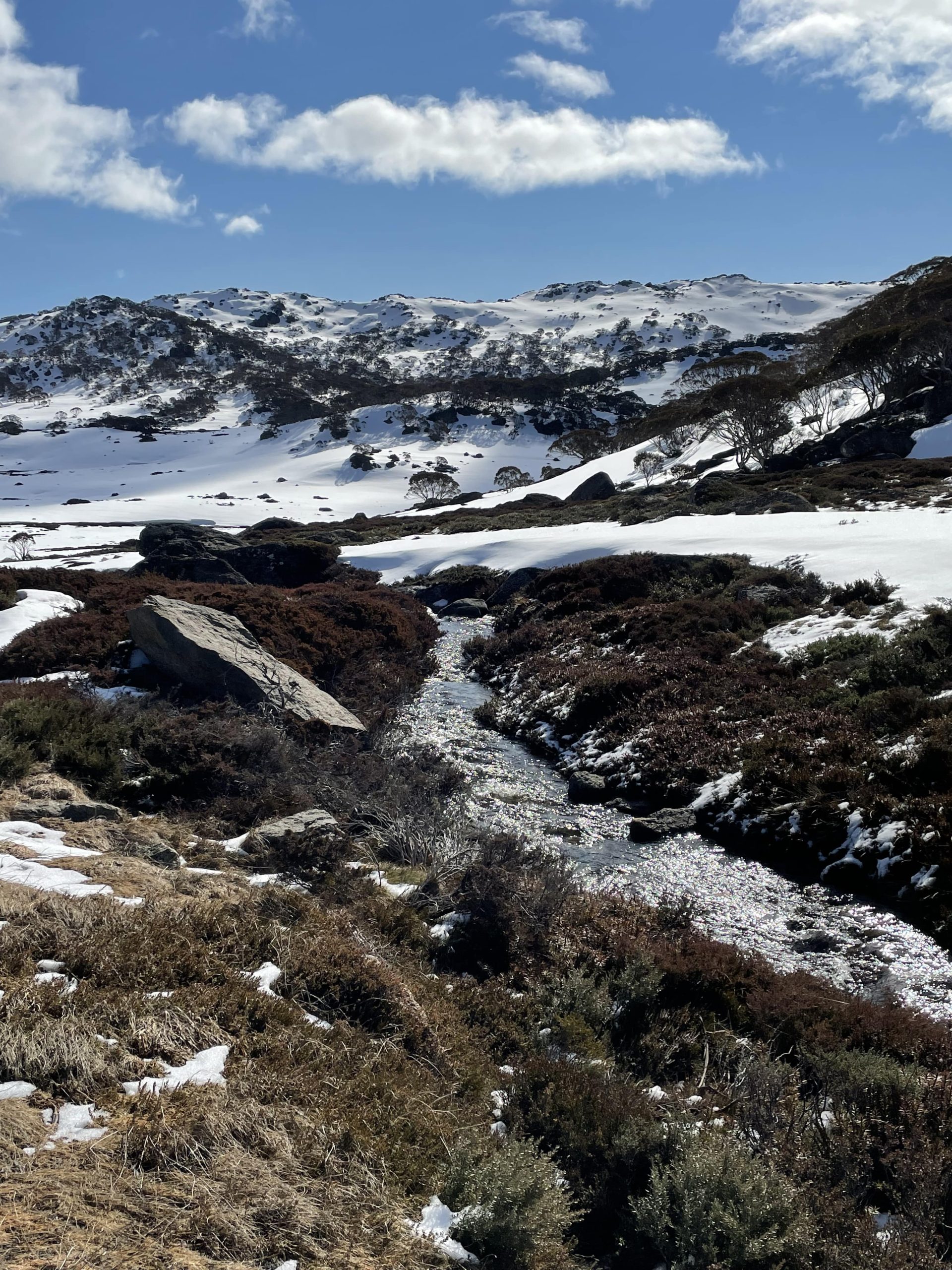 Snowy Mountains