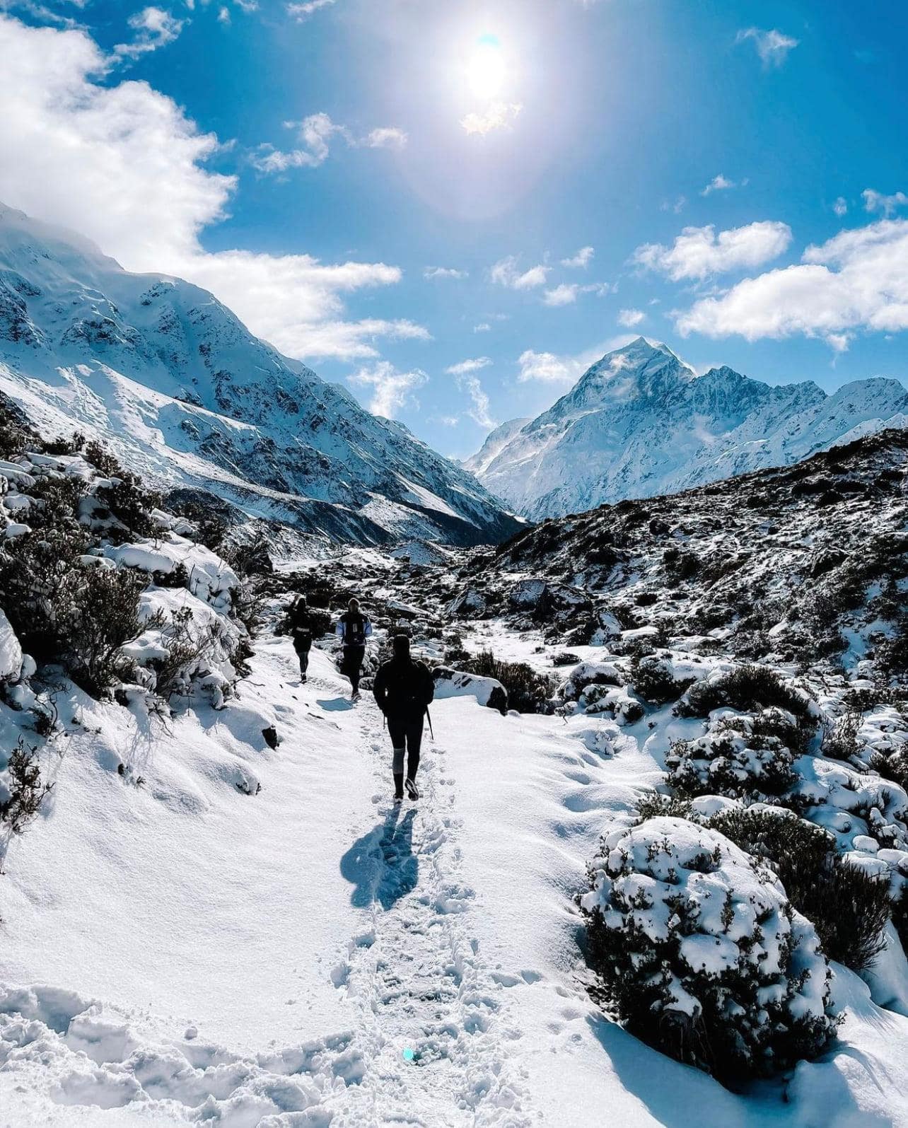 Mt Cook