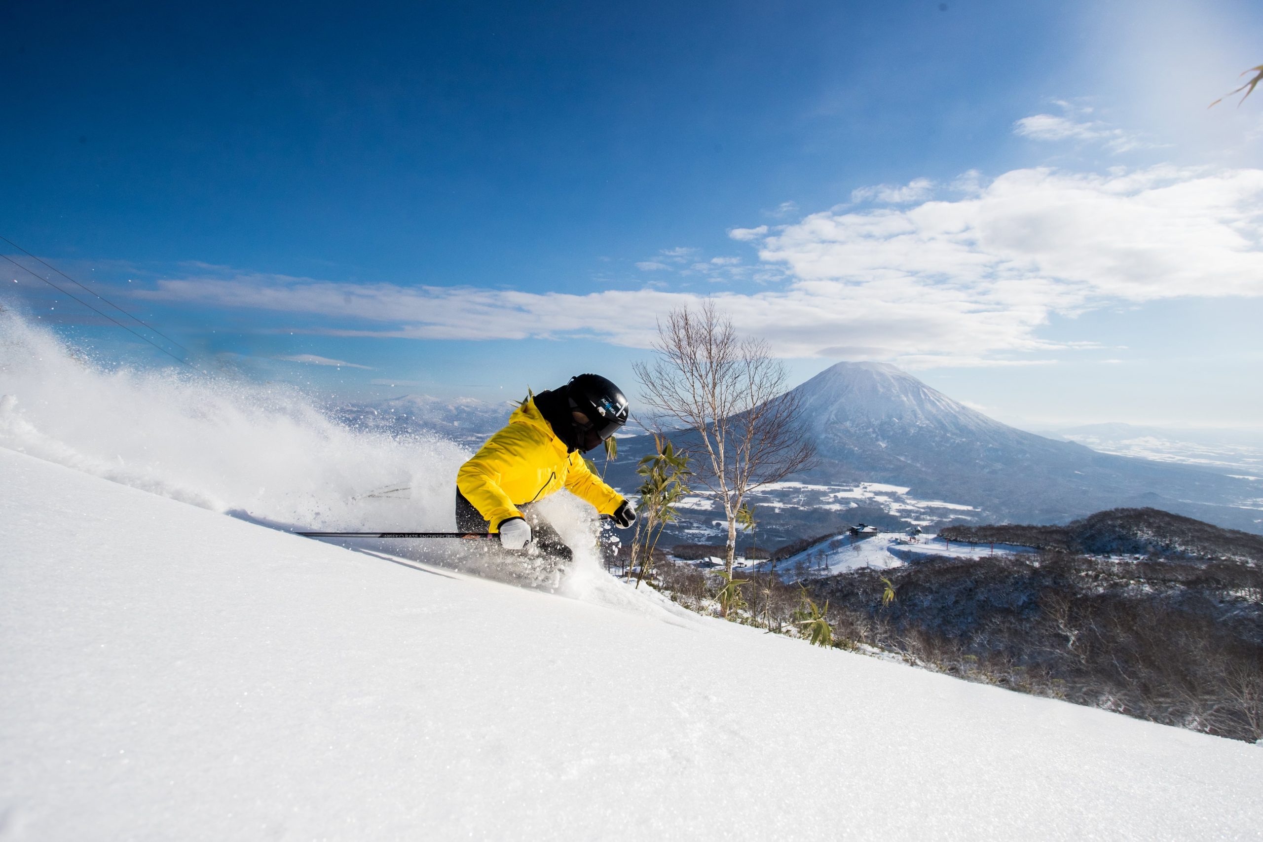 Powder Skier Niseko