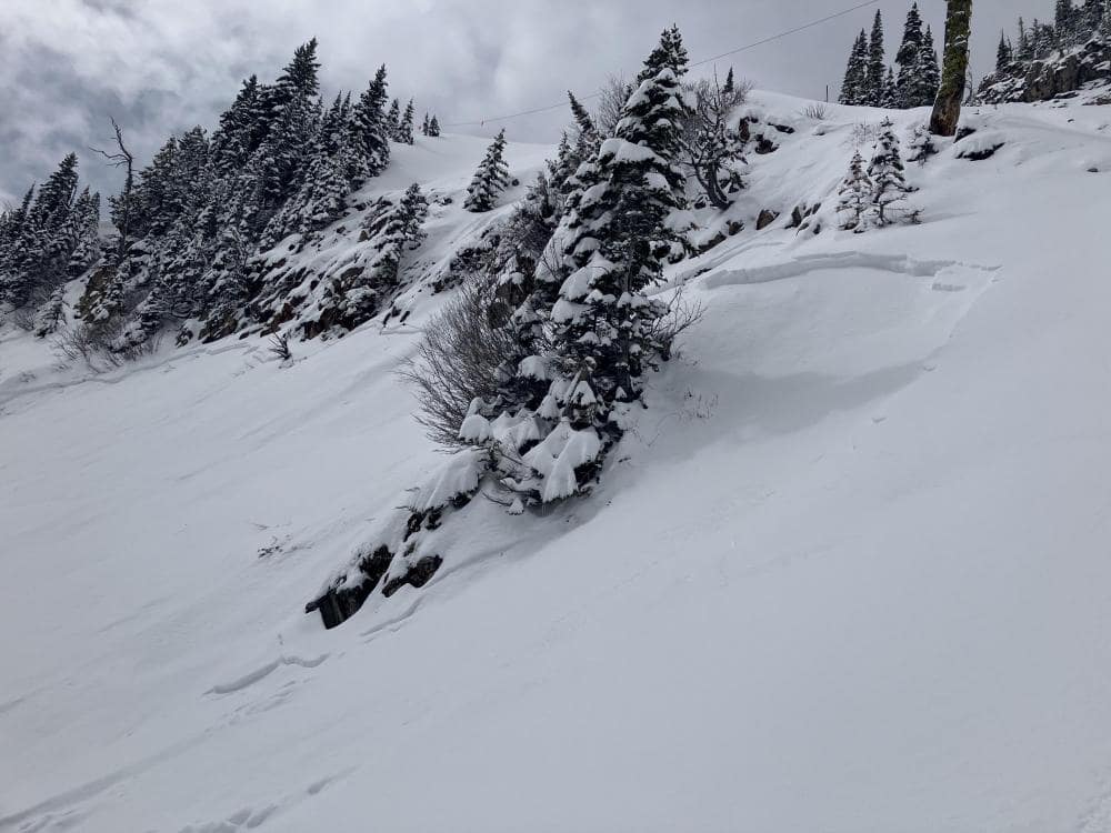 Crown from natural avalanche, North Bridger Bowl, 