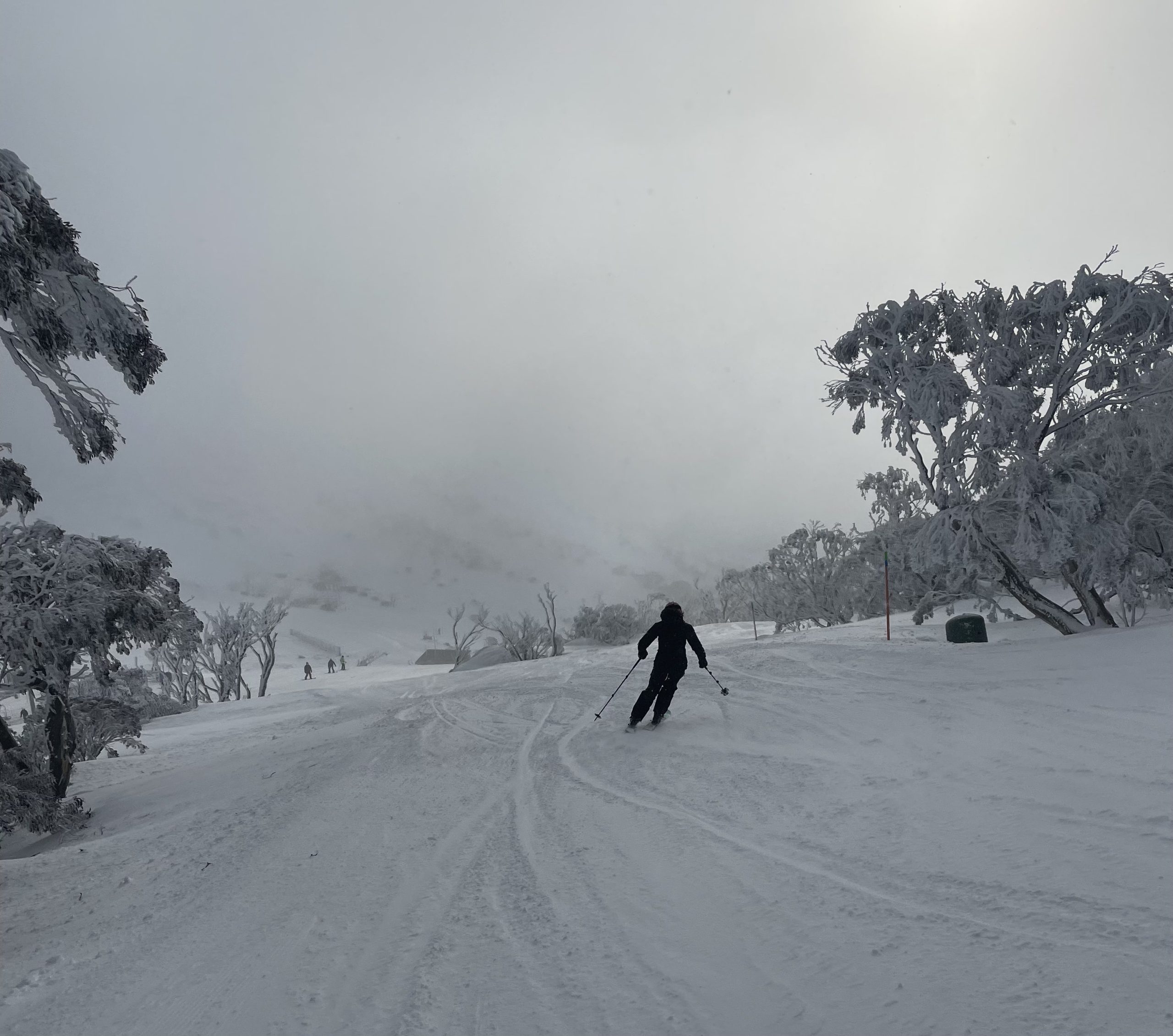 Catching some first tracks at Blue Cow