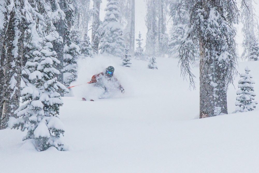 Finding the untracked near Wolf Creek Ski Area, CO.