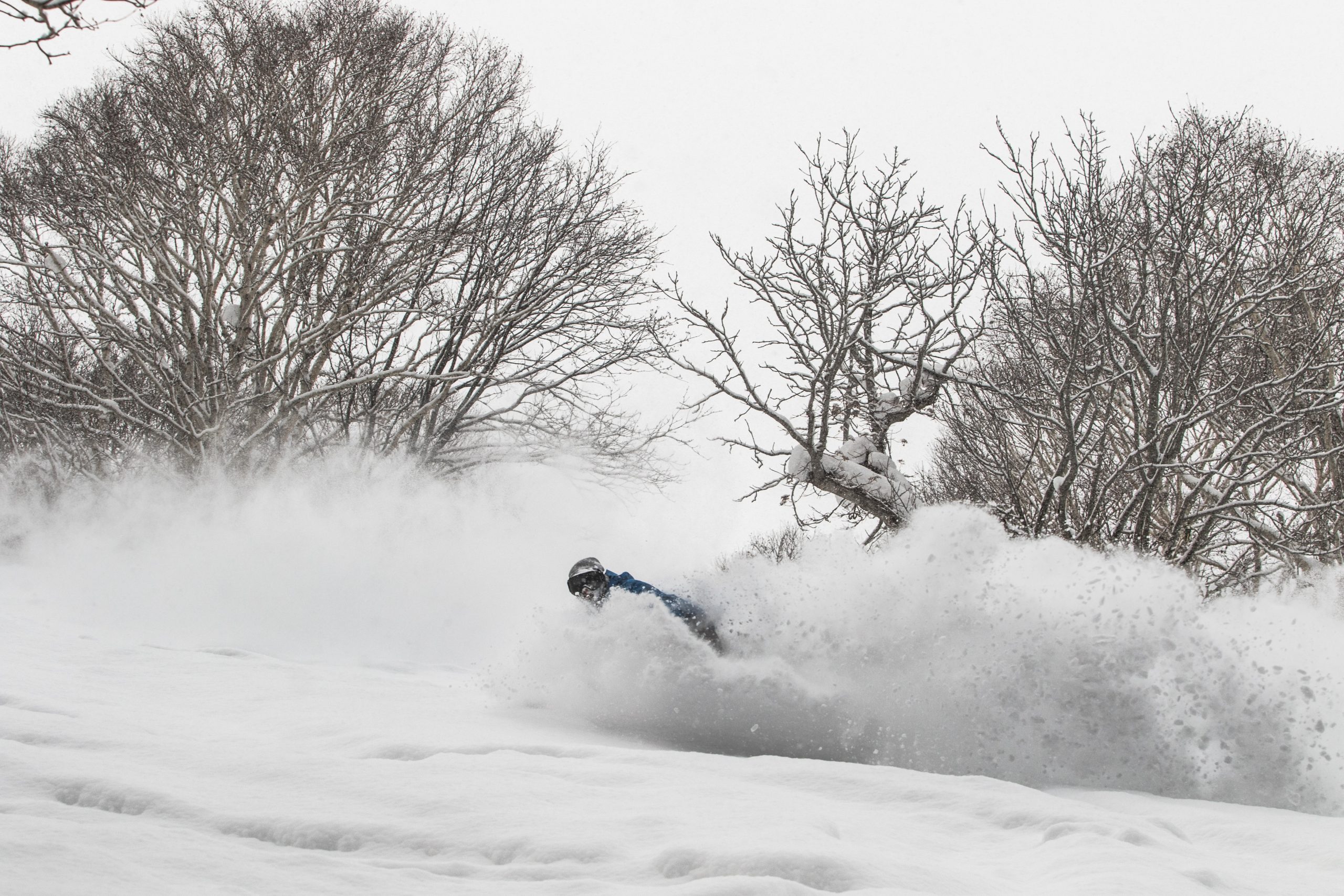 Japow, Japan, 