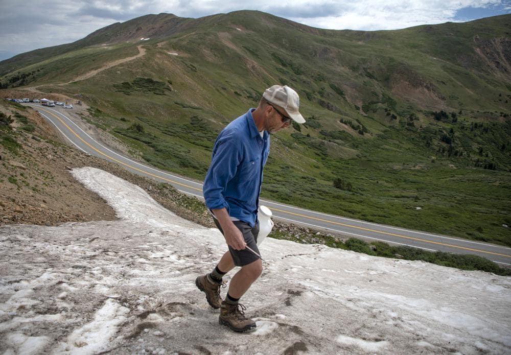 eff Derry, executive director of the Center for Snow and Avalanche Studies, collects samples of snow on Loveland Pass on July 18, 2022, 