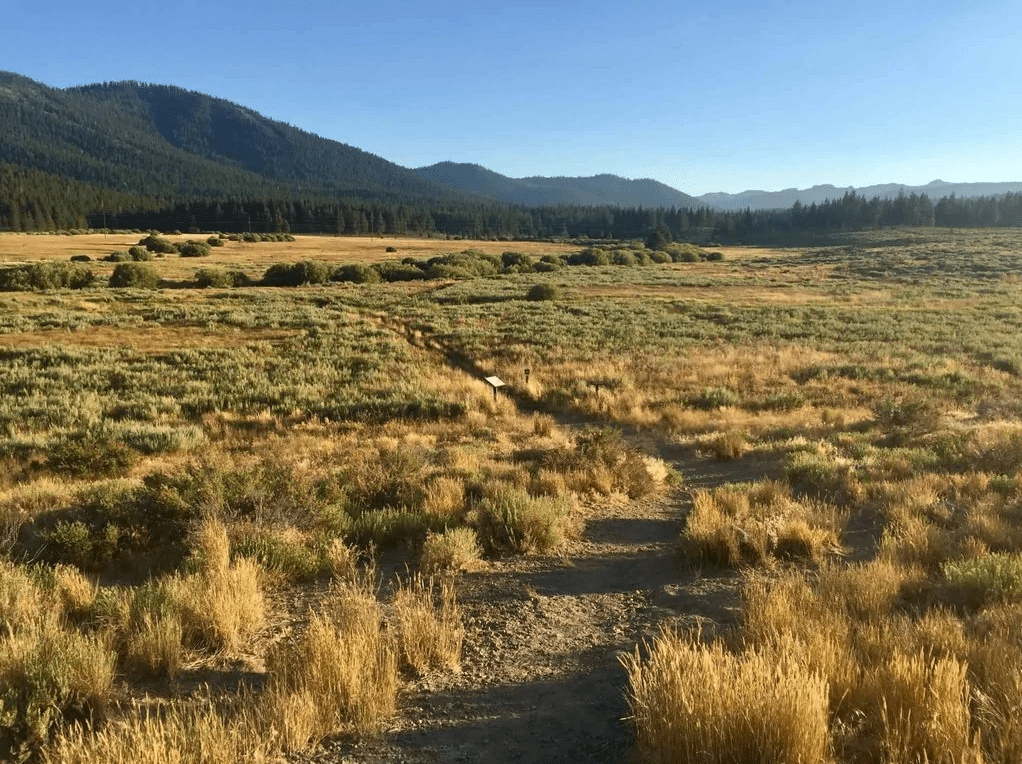 Start of Martis Valley Trail heading south.