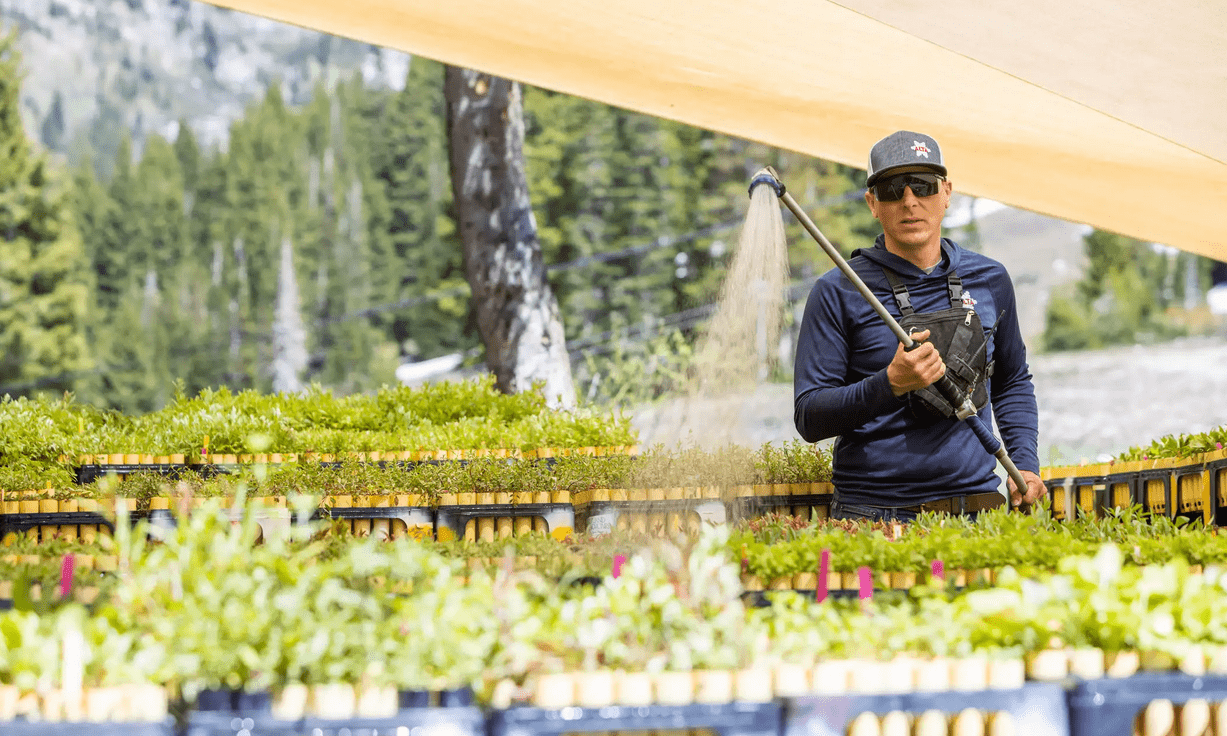 Watering 9,000 native plant seedlings intended for Alta Ski Resort, UT