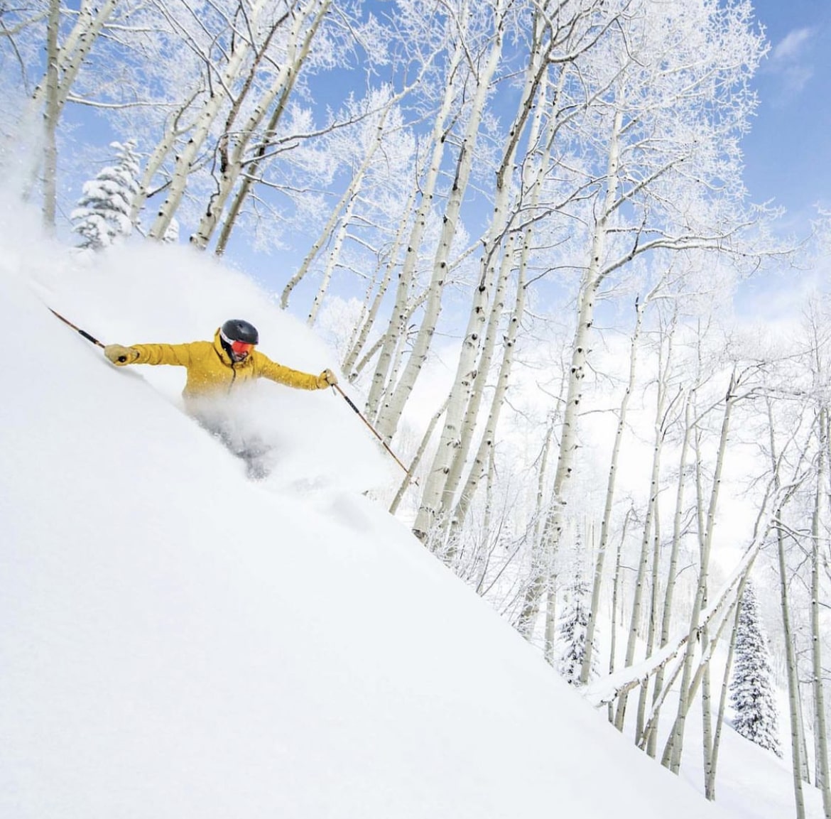 Aspen skier