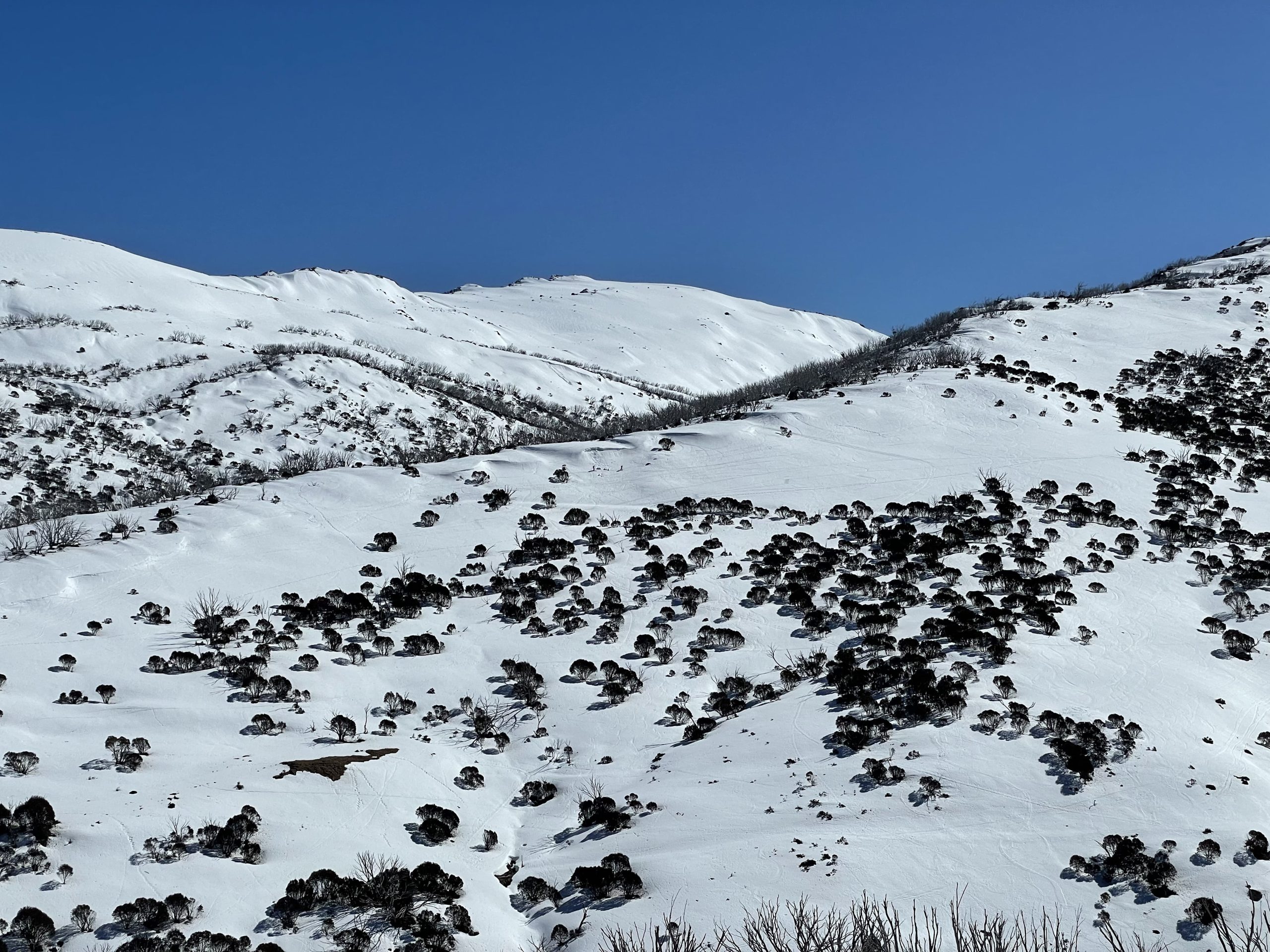 Body of 23-Year Old Backcountry Skier Found in Snowy Mountains, Australia
