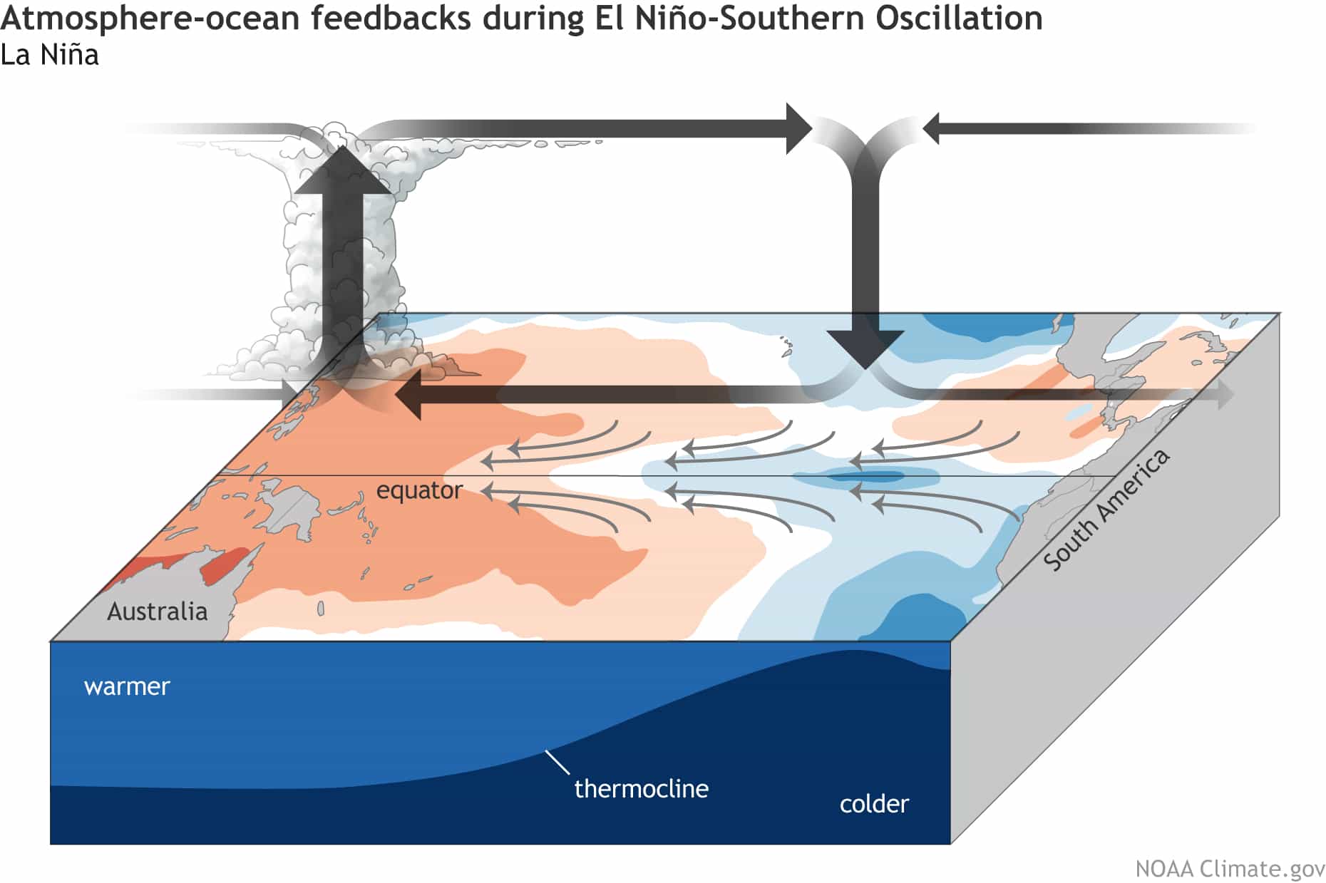 ENSO_blog_Bjerknes-feedback-LaNina_large.jpg