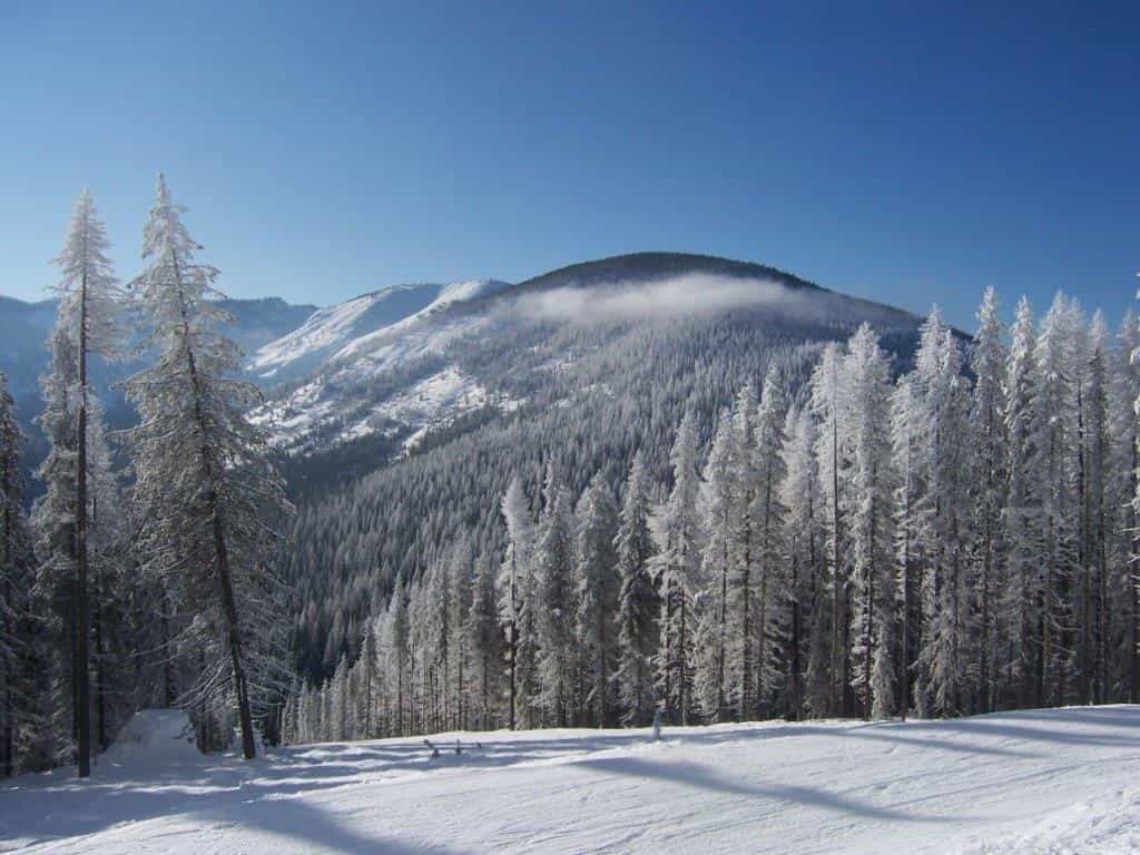 Lookout Pass, ID/MT, Doubling Terrain This Season as Part of Massive ...