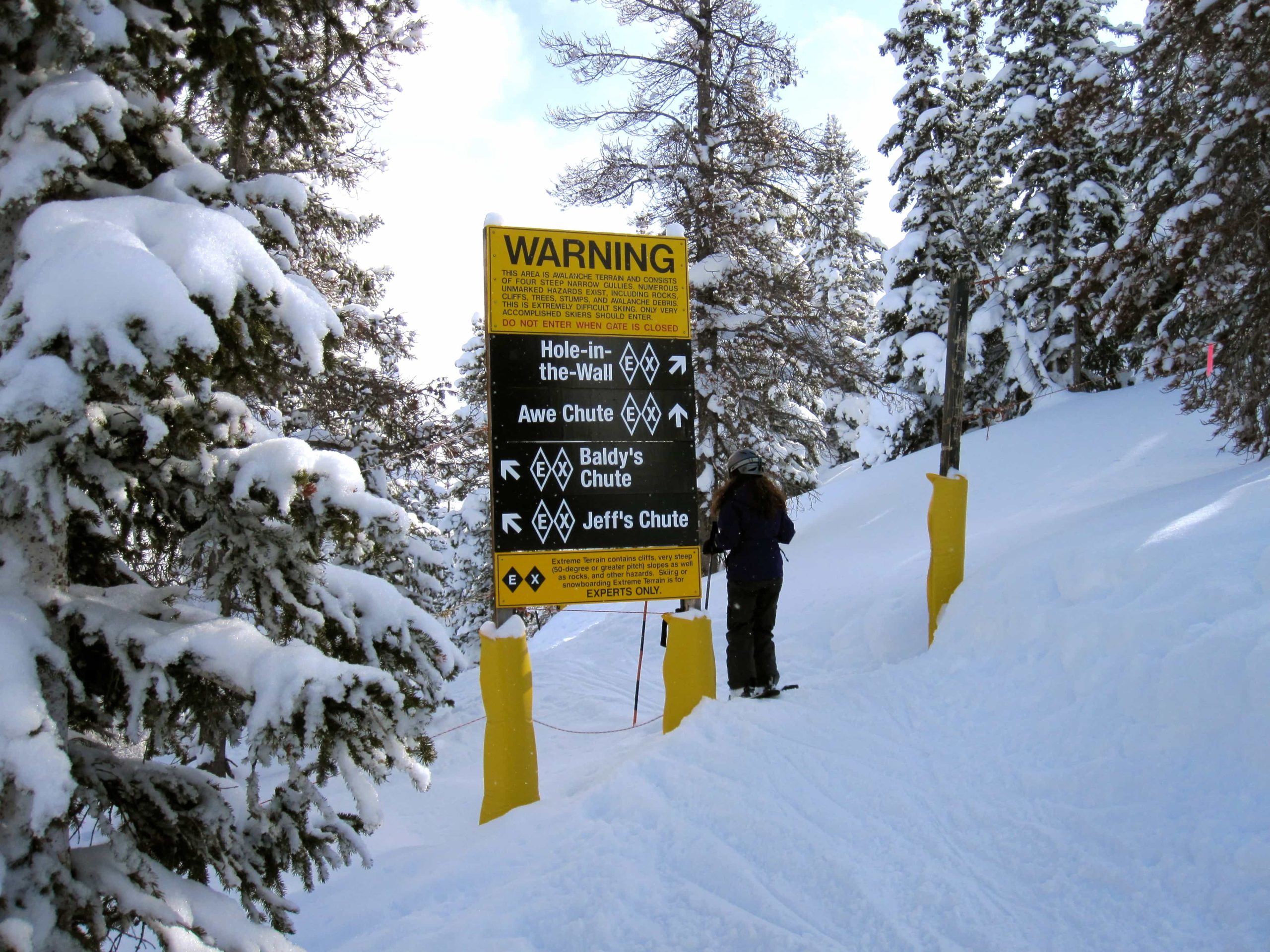 are dogs allowed at winter park resort