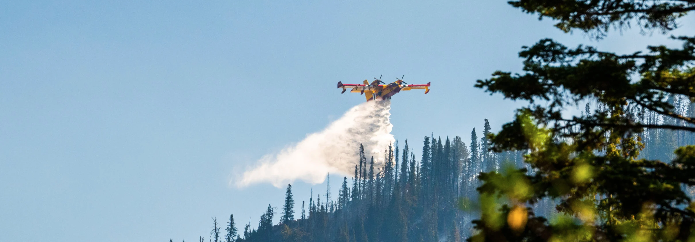 brundage wildfire